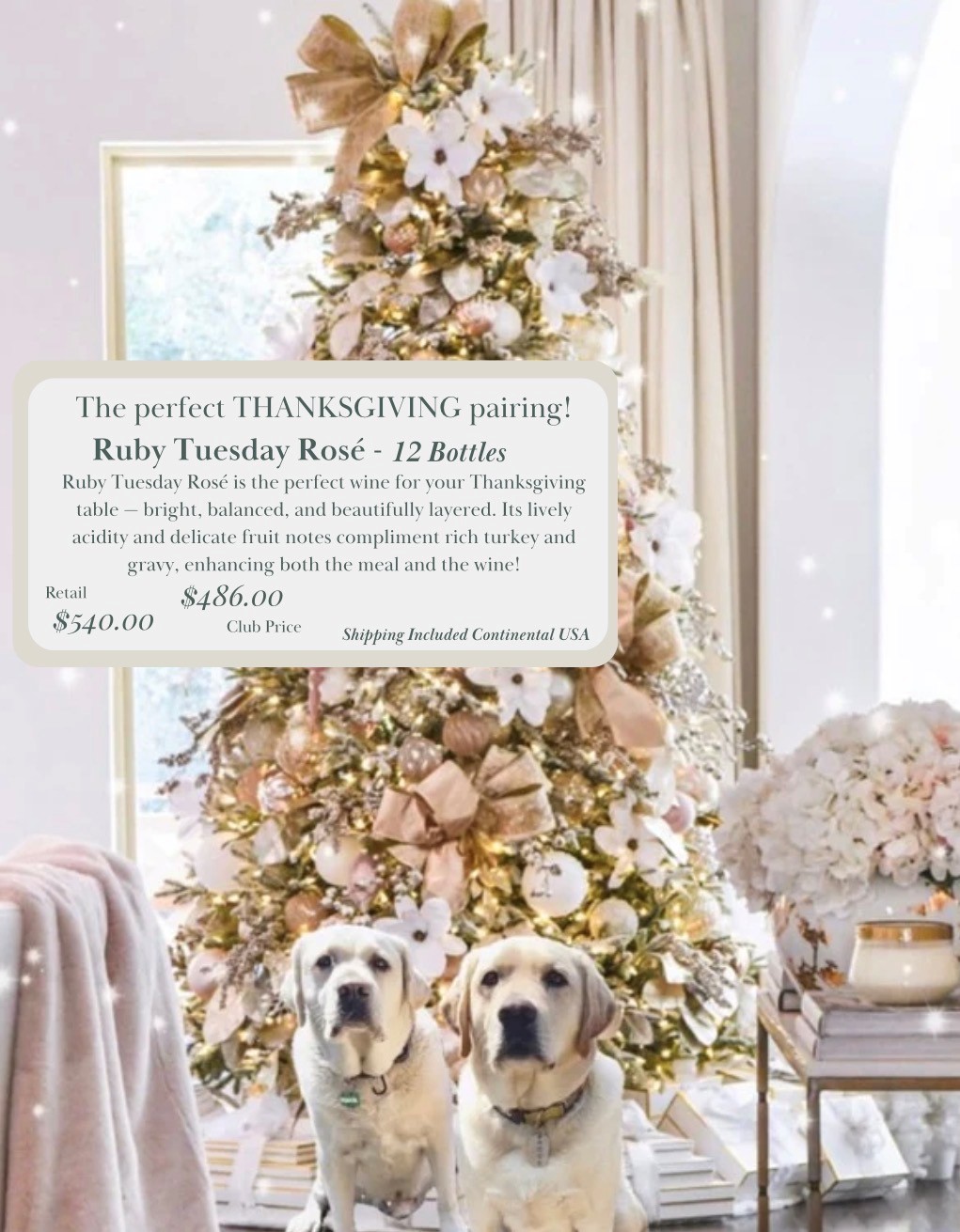 Product Image for Ruby Tuesday Rosé – Thanksgiving Table Case