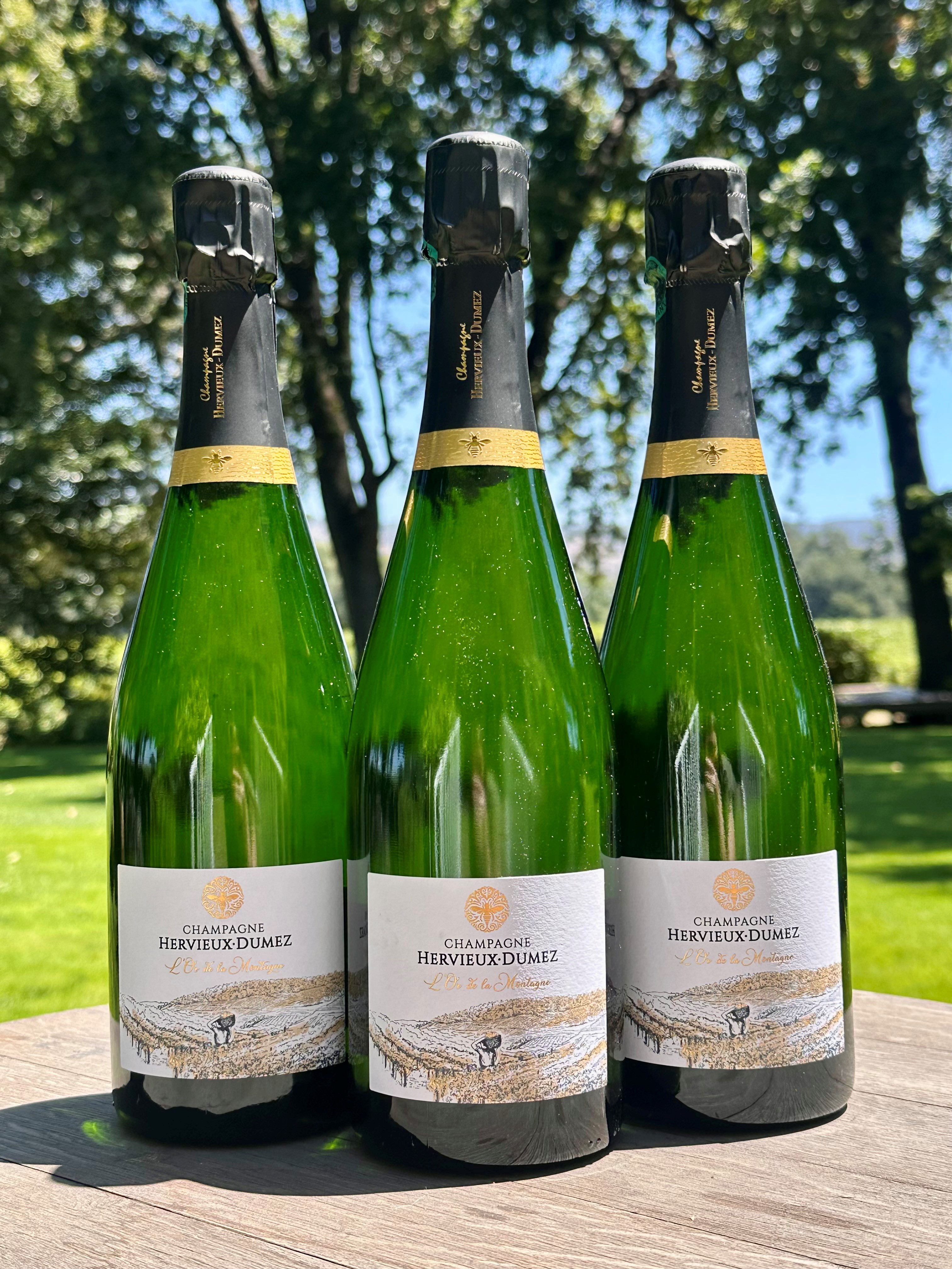 Product Image for Hervieux-Dumez Champagne- 3 pack 