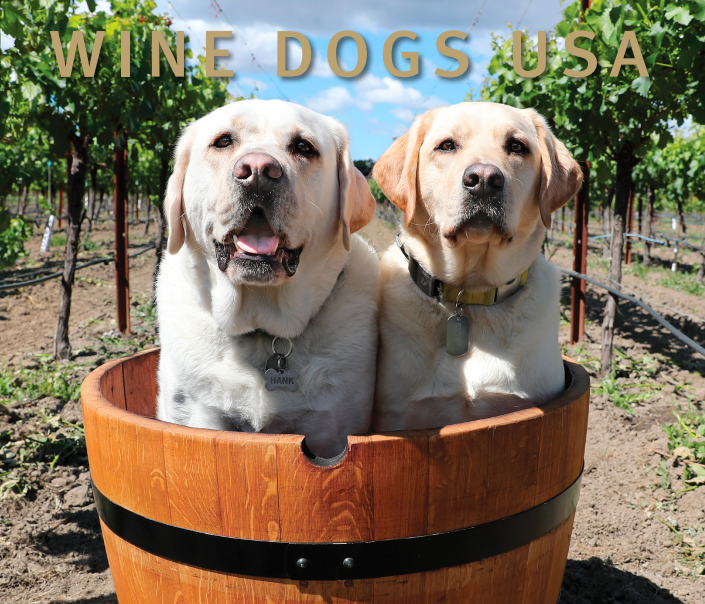 Product Image for Wine Dogs California 5