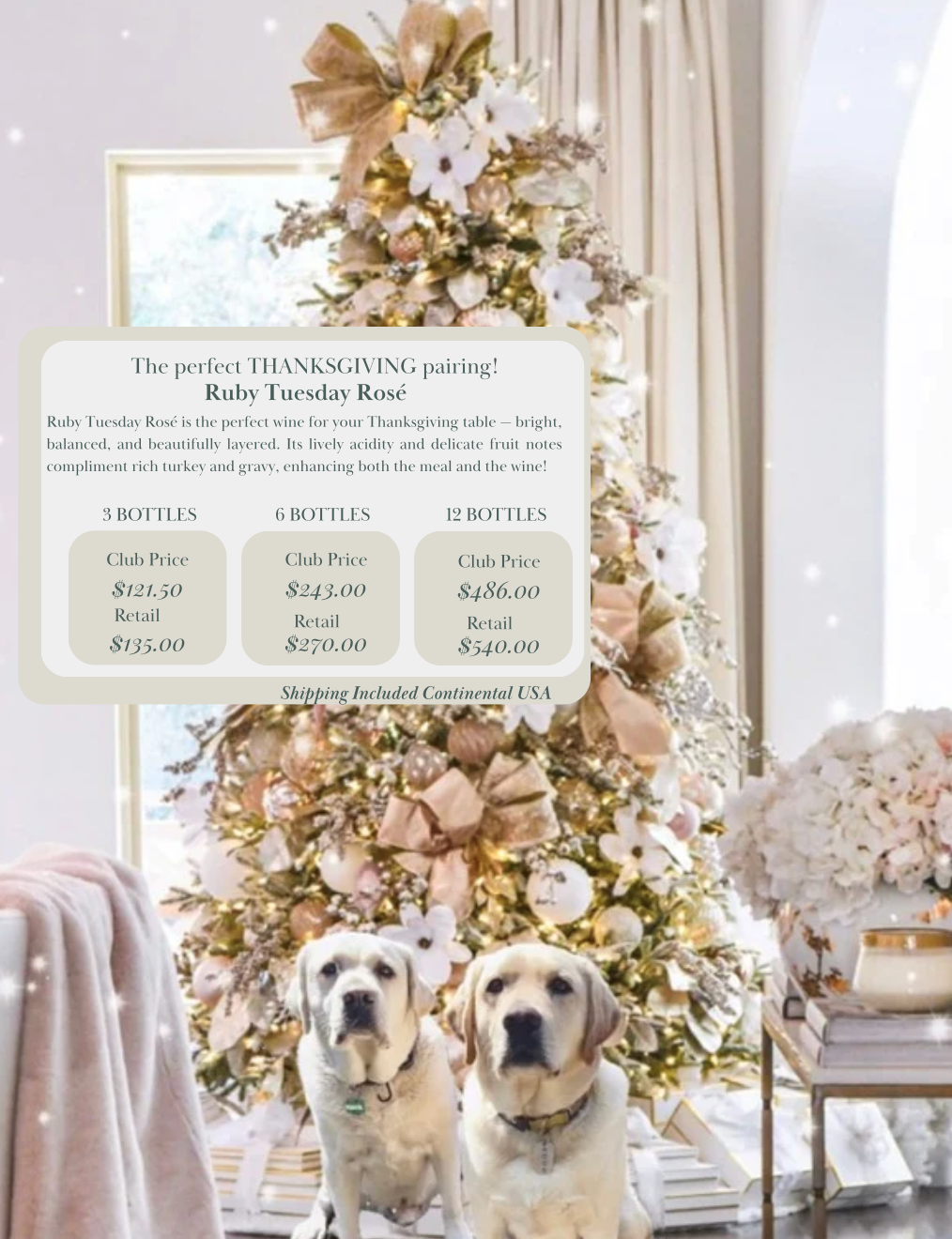 Product Image for Ruby Tuesday Rosé – Thanksgiving Table 6 pack