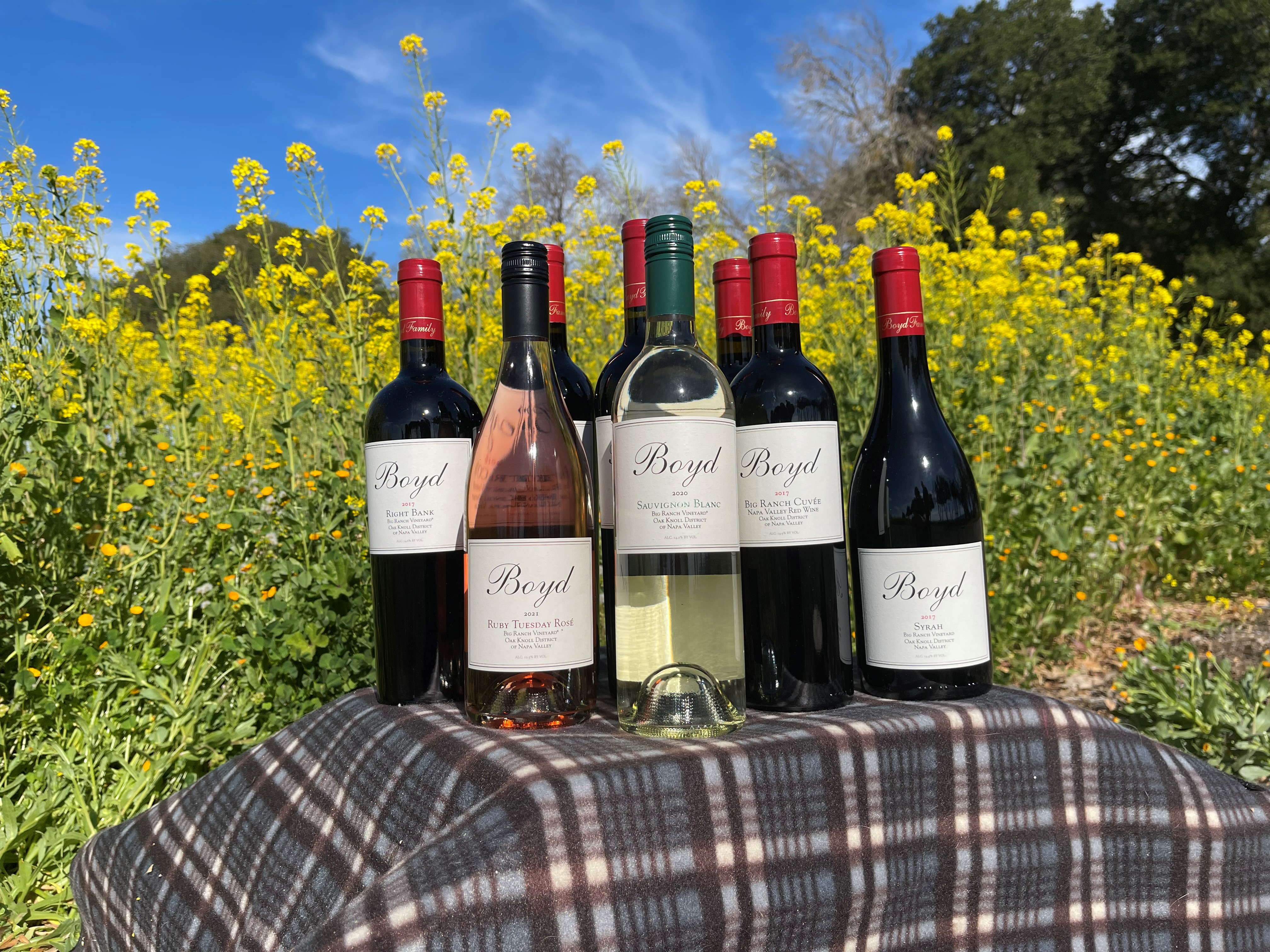 Product Image for New Release Selection