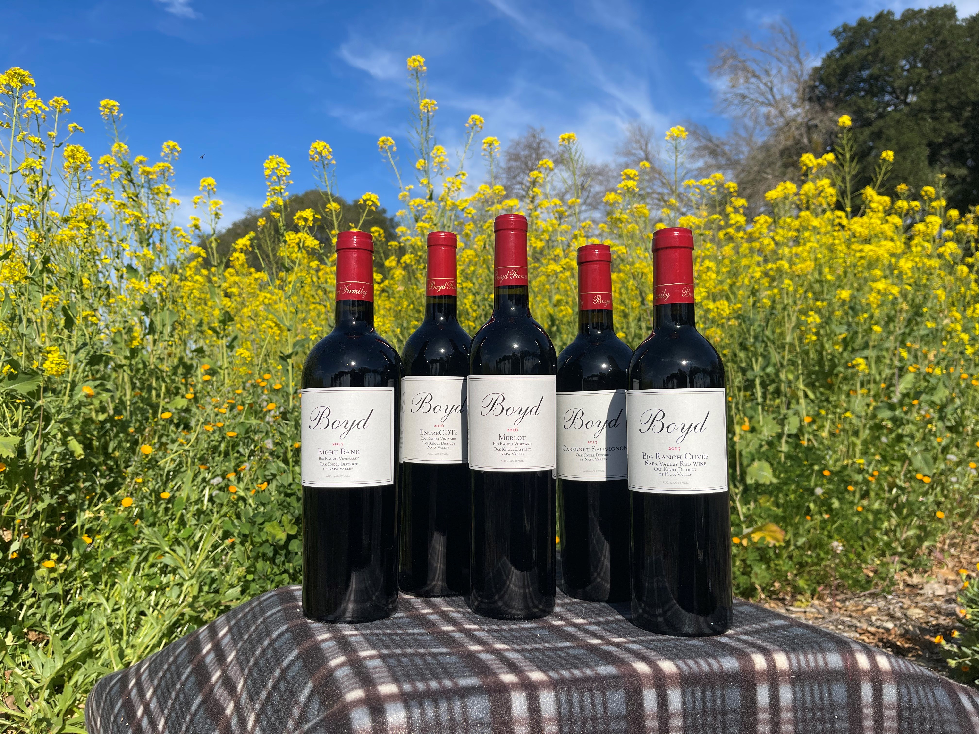 Product Image for Spring 2023 Red Only Selection