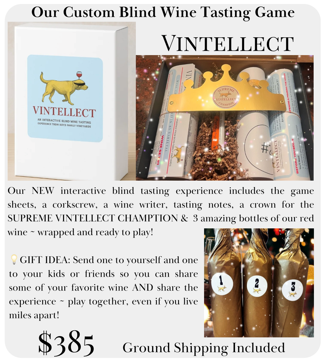 Product Image for VINTELLECT - Interactive Game 