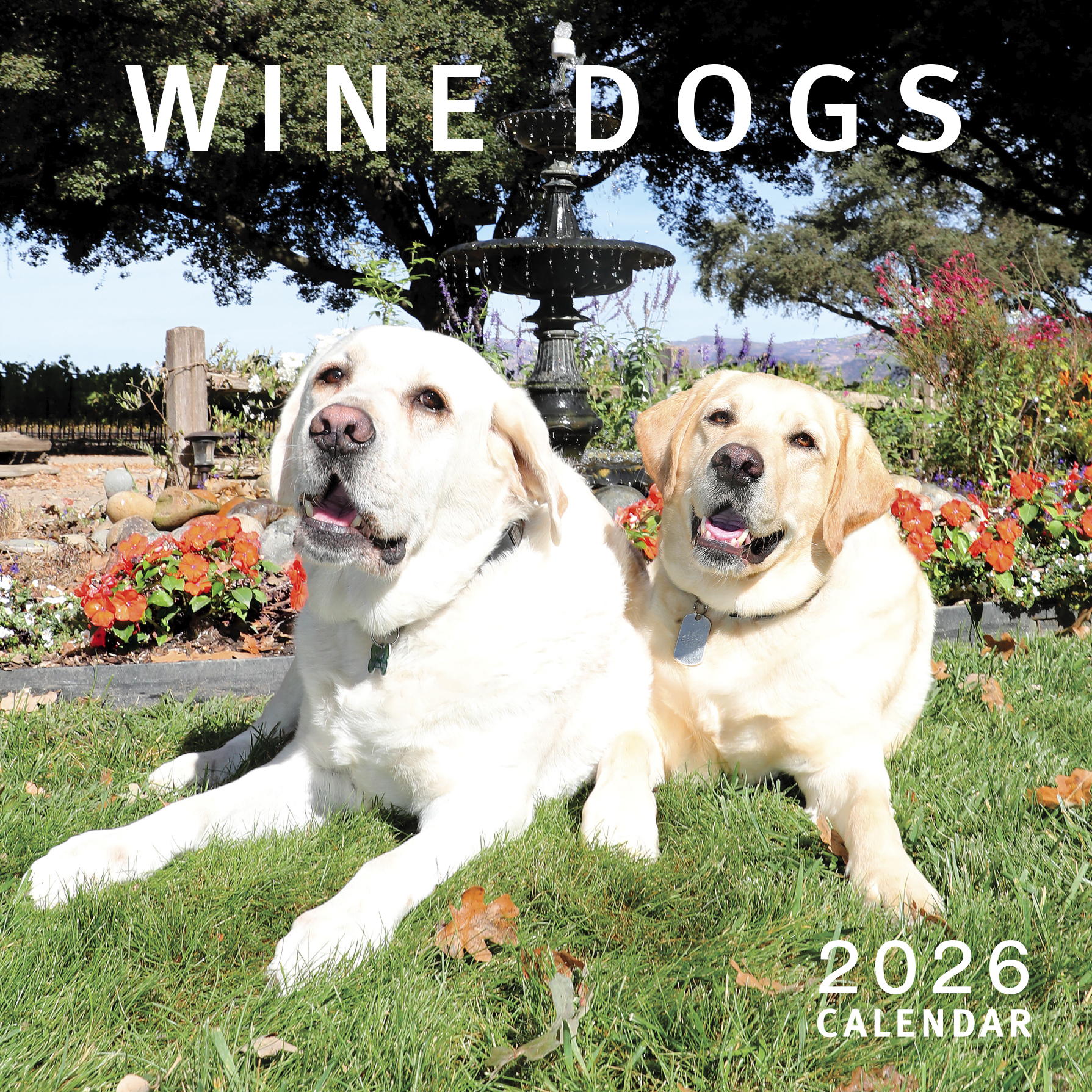 Product Image for Wine Dog Calendar 2026