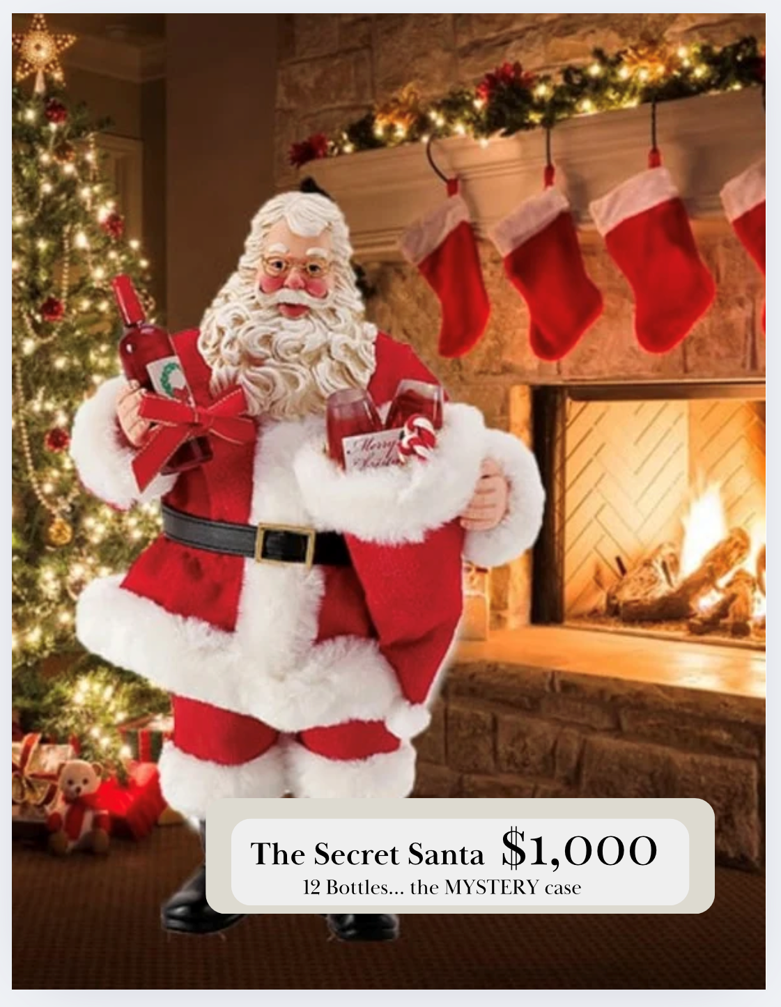Product Image for Secret Santa- Mystery Case